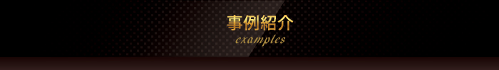 事例紹介examples 事例紹介examples
