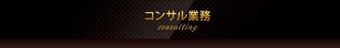 �R���T���Ɩ�consulting